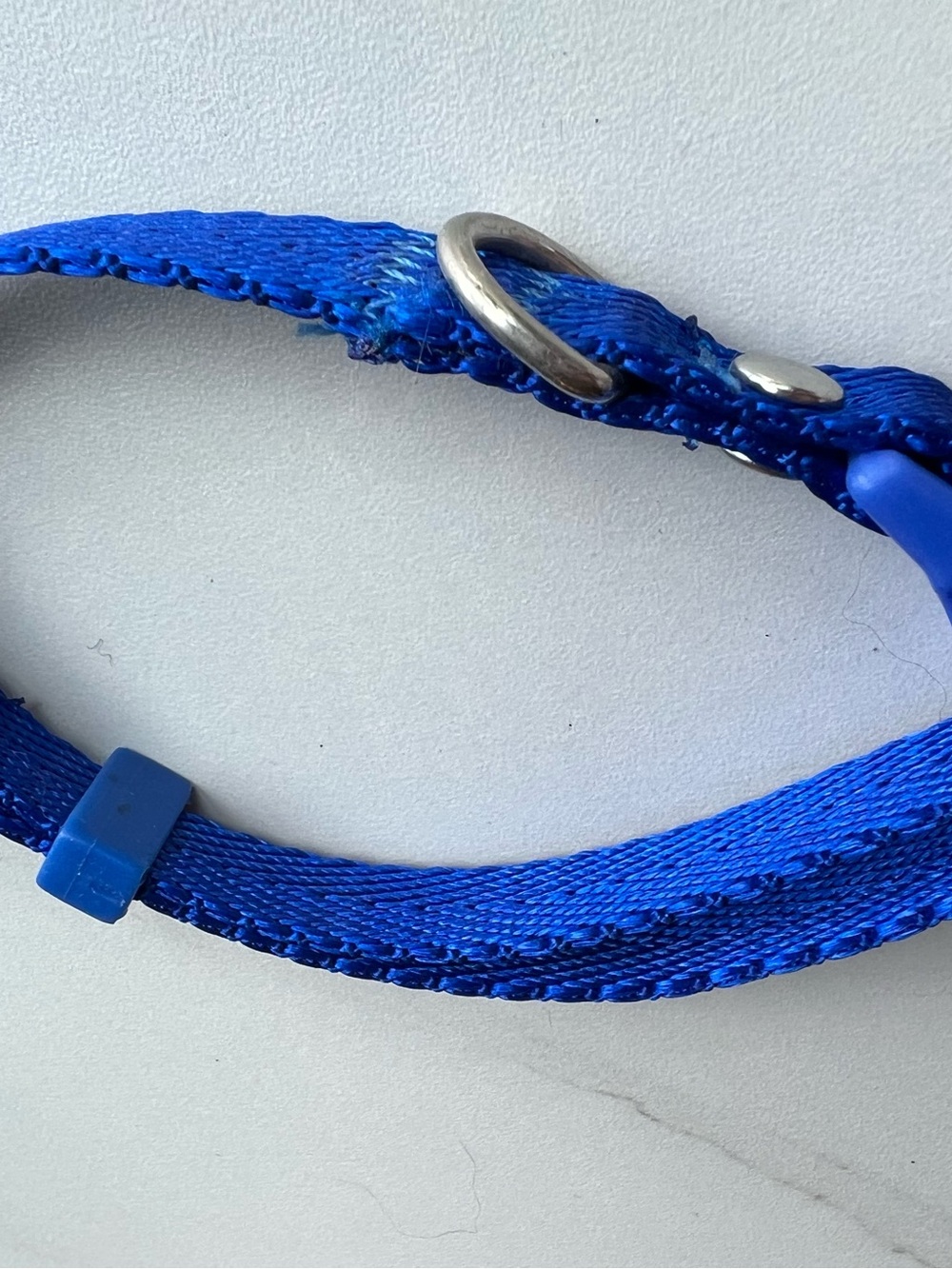 Adjustable Royal Blue Nylon Pet Collar